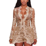 Lacey Transparent Romper