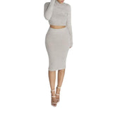 2 Piece Set Crop Top + Pencil Skirt